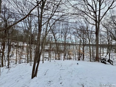 Kerr Lake - Buggs Island Lake Lot For Sale in Buffalo Junction Virginia