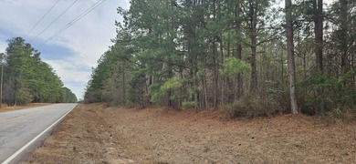 Strom Thurmond / Clarks Hill Lake Acreage For Sale in Lincolnton Georgia
