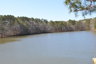 Remarkable waterfront home in a cove with lakefront views. - photo 48