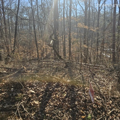 Lake Arrowhead Lot For Sale in Myrtle Mississippi