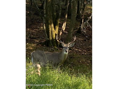 (private lake, pond, coastal) Lot Sale Pending in White Haven Pennsylvania