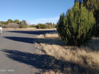 Lake Lot Off Market in Concho, Arizona