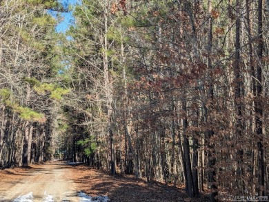 Lake Lot Sale Pending in Boydton, Virginia