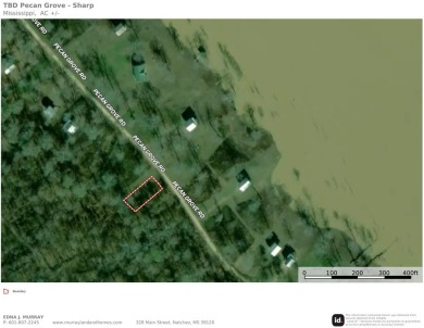 Lake Mary Lot For Sale in Woodville Mississippi