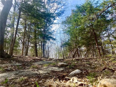 Lake Acreage For Sale in Lowry City, Missouri