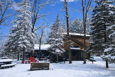 Lake Geneva - Montmorency County Home For Sale in Atlanta Michigan