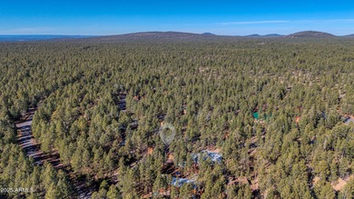 7185 Moon Creek Circle, Pinetop, AZ 85935 | Pinetop Country Club