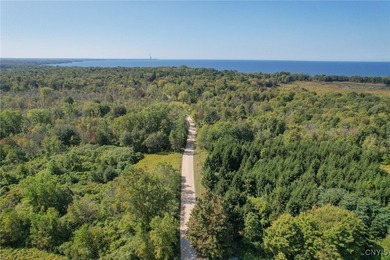 Make your mark on the recreational paradise that is Central New - photo 6