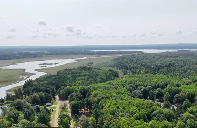 Lake St Helen Home For Sale in Saint Helen Michigan