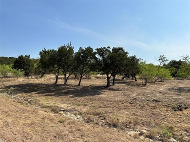 Five acres on level ground with trees and grasses. Excellent lot - photo 3