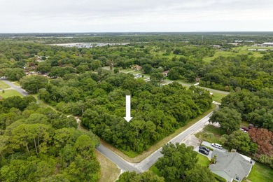 Excellent vacant lot on in Fort Pierce, offering a great - photo 4
