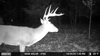 (private lake, pond, creek) Acreage For Sale in Willow Springs Missouri