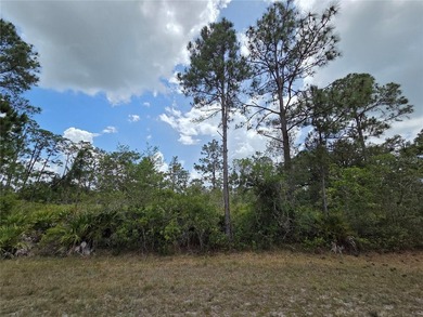 Lake Weohyakapka Lot For Sale in Indian Lake Estates Florida