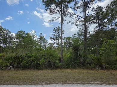 Why buy one lot when you can have TWO? Check out these - photo 2