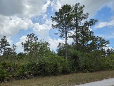 Why buy one lot when you can have TWO? Check out these - photo 3