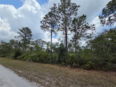 Why buy one lot when you can have TWO? Check out these - photo 4