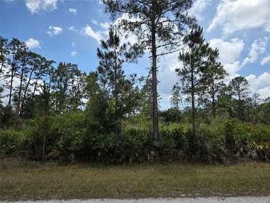 Why buy one lot when you can have TWO? Check out these - photo 6