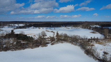 (private lake, pond, creek) Acreage For Sale in Leonard Michigan
