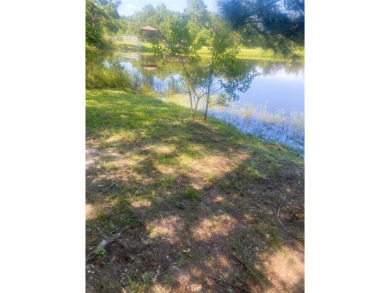 Lake Lot For Sale in Hempstead, Texas