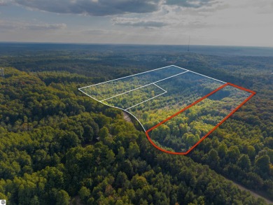 Lake Acreage For Sale in Rapid City, Michigan