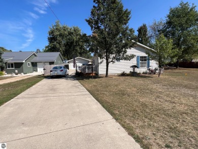 Lake Home For Sale in Lake, Michigan