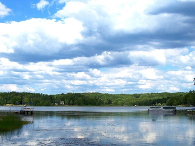 Wildwood Lake - Cheboygan County Lot For Sale in Wolverine Michigan