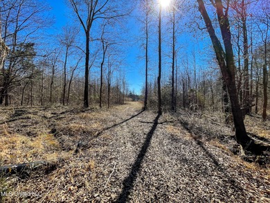 (private lake, pond, coastal) Acreage Sale Pending in Flora Mississippi