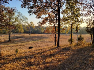 Lake Acreage For Sale in Donaldson, Arkansas