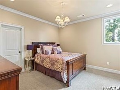 Experience elevated lakefront living on the pristine shores of - photo 29