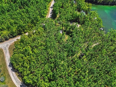Rare opportunity to own 98 feet of private frontage on beautiful - photo 8