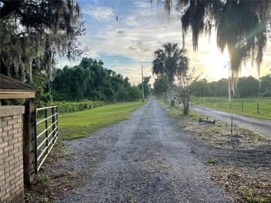 Lake Marion - Polk County Acreage For Sale in Haines City Florida