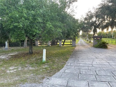 20 ACRES  OF OLD FLORIDA !!!  TOTALLY SECLUDED WITH LAKE ACCESS - photo 2