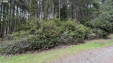 Rare opportunity to own 1 acre of commercially zoned land in a - photo 2