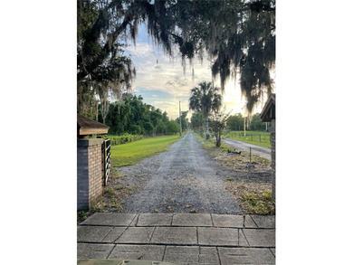 20 ACRES  OF OLD FLORIDA !!!  TOTALLY SECLUDED WITH LAKE ACCESS - photo 3
