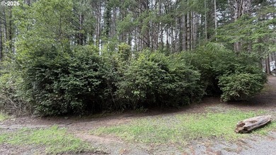 Rare opportunity to own 1 acre of commercially zoned land in a - photo 3
