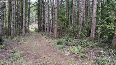 Rare opportunity to own 1 acre of commercially zoned land in a - photo 4