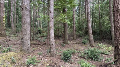 Rare opportunity to own 1 acre of commercially zoned land in a - photo 5