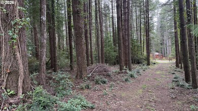Rare opportunity to own 1 acre of commercially zoned land in a - photo 6