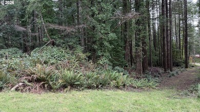 Rare opportunity to own 1 acre of commercially zoned land in a - photo 7