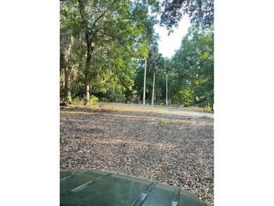 20 ACRES  OF OLD FLORIDA !!!  TOTALLY SECLUDED WITH LAKE ACCESS - photo 8