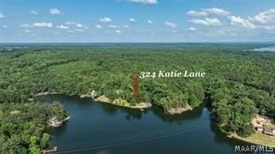 Experience elevated lakefront living on the pristine shores of - photo 49