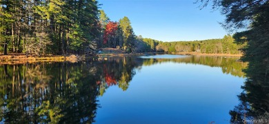 Lake Home For Sale in Yulan, New York