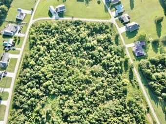 Gorgeous Wooded Lot - Lake Lot For Sale in McDaniels, Kentucky