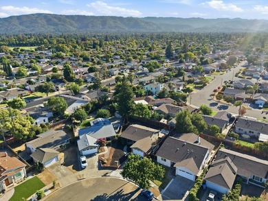 Welcome to this beautifully updated, east-facing single-story - photo 49
