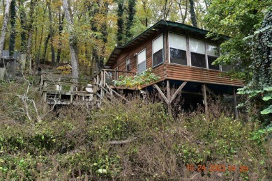 Lake Home For Sale in Williford, Arkansas