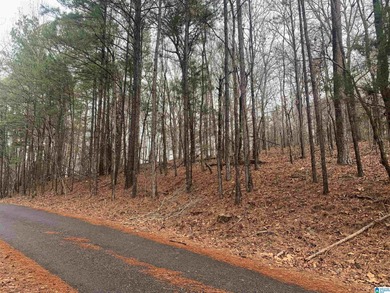 Neely Henry Lake Lot For Sale in Southside Alabama