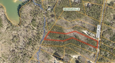 Lake Acreage For Sale in Appling, Georgia