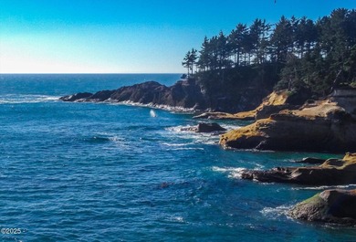 Highway 101 frontage commercial property with plenty of parking