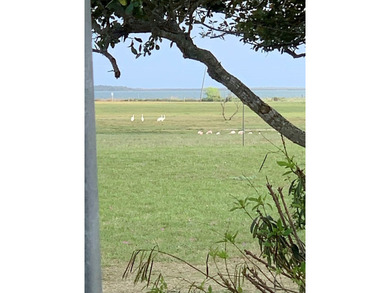 This stunning waterfront acreage (52) in Lamar is a - photo 4