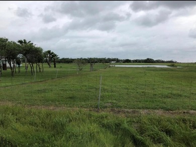 This stunning waterfront acreage (52) in Lamar is a - photo 10